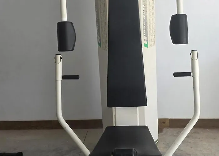 Limonero Las Palmas de Gran Canaria