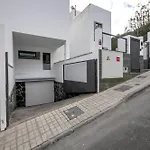 Limonero Las Palmas de Gran Canaria