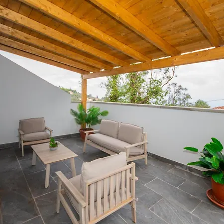 Limonero Las Palmas de Gran Canaria