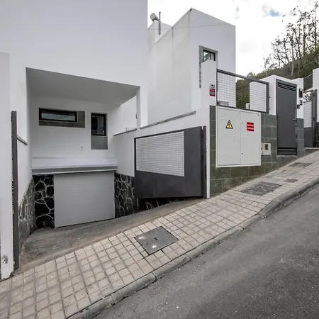 Limonero Las Palmas de Gran Canaria