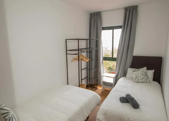 Limonero * Las Palmas de Gran Canaria