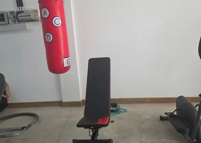 Limonero Willa Las Palmas de Gran Canaria